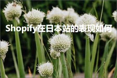 跨境电商知识:Shopify在日本站的表现如何+